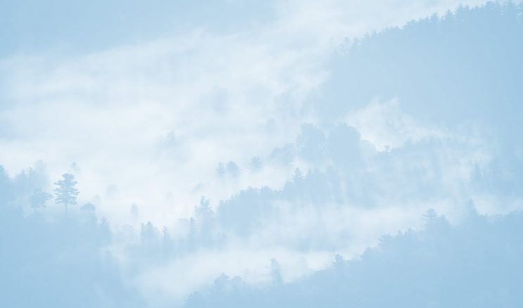Background makamstories.com