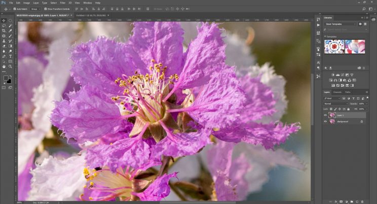 เทคนิคปรับตความคมให้ภาพด้วย High Pass Filter ใน Photoshop