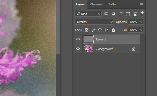 เทคนิคปรับตความคมให้ภาพด้วย High Pass Filter ใน Photoshop