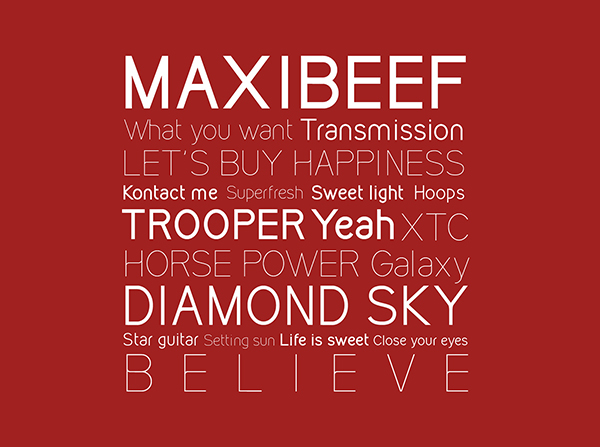 Kirvy Font Family download