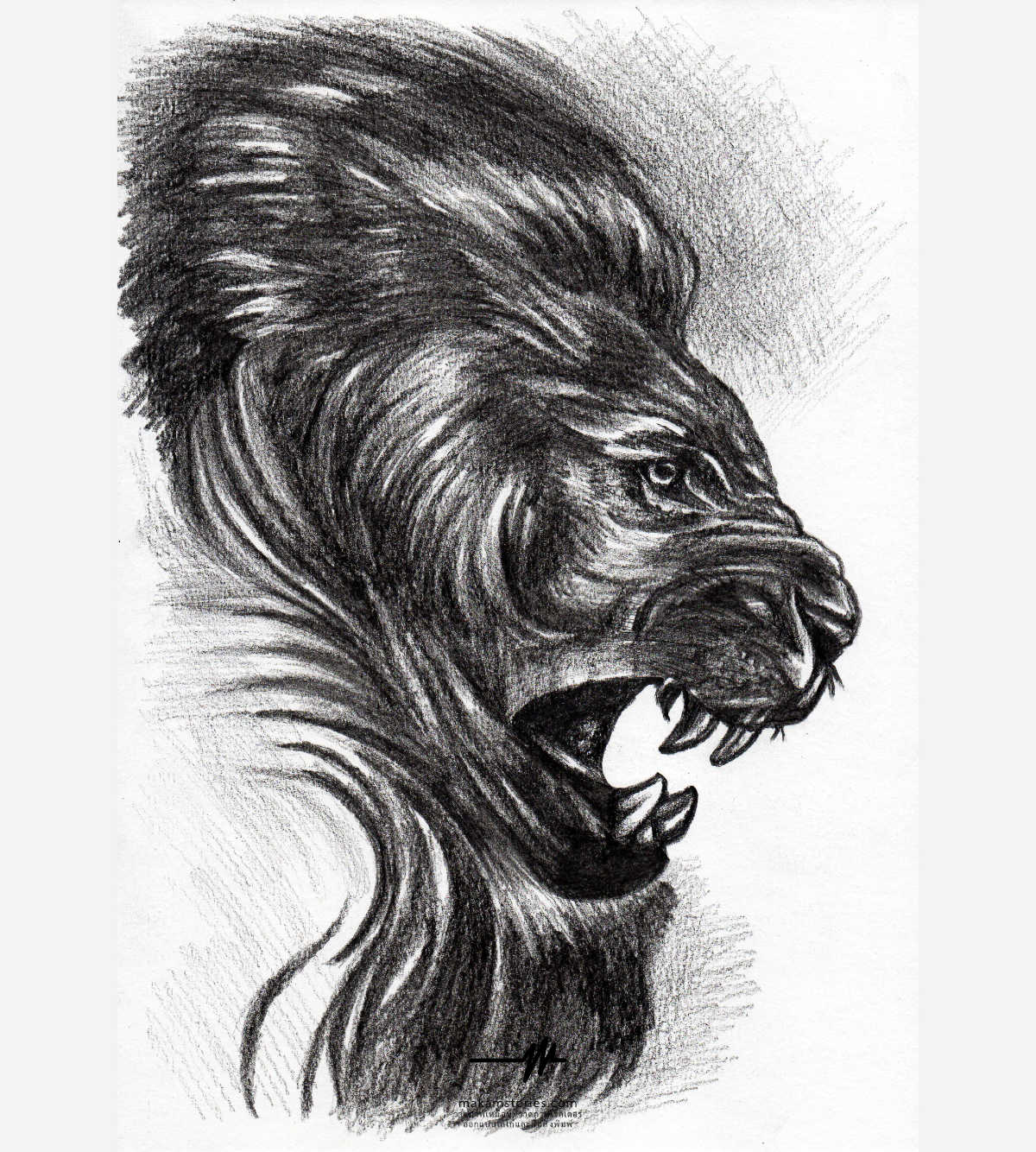 ภาพวาดลายเส้น ภาพวาดดรออิ้งหัวสิงโต สำหรับนำไปเป็นแบบลายสัก