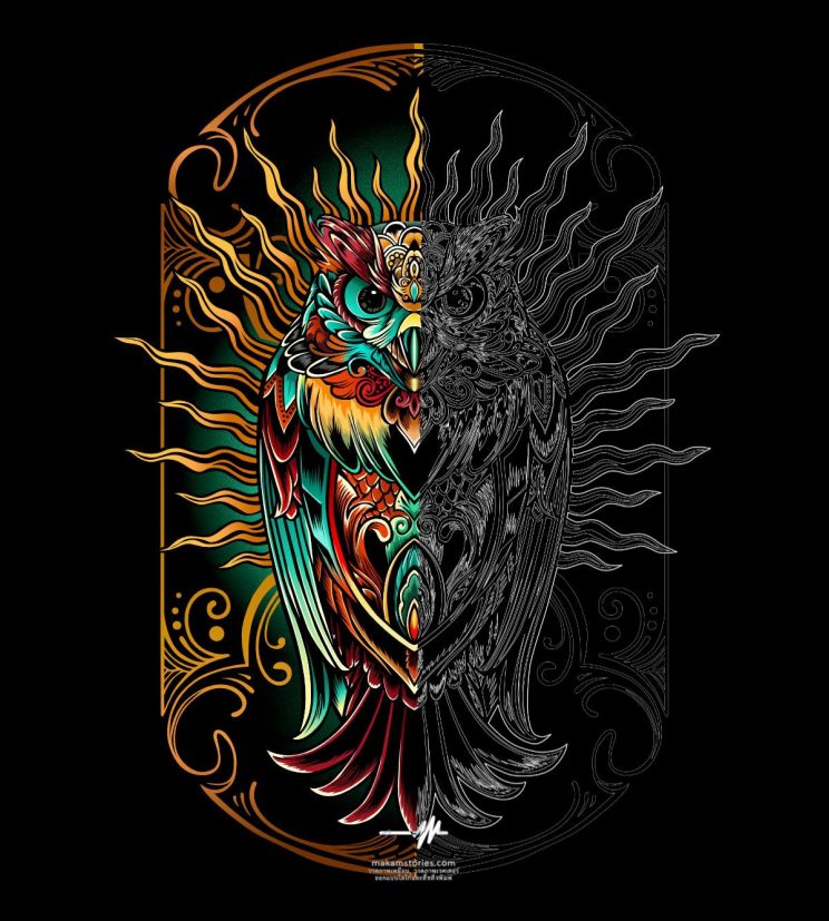 ภาพวาด illustration สำหรับทำลายสกรีนเสื้อ ภาพวาดกราฟิกลายนกฮูก เปรียบเทียบลายเส้นและการลงสี